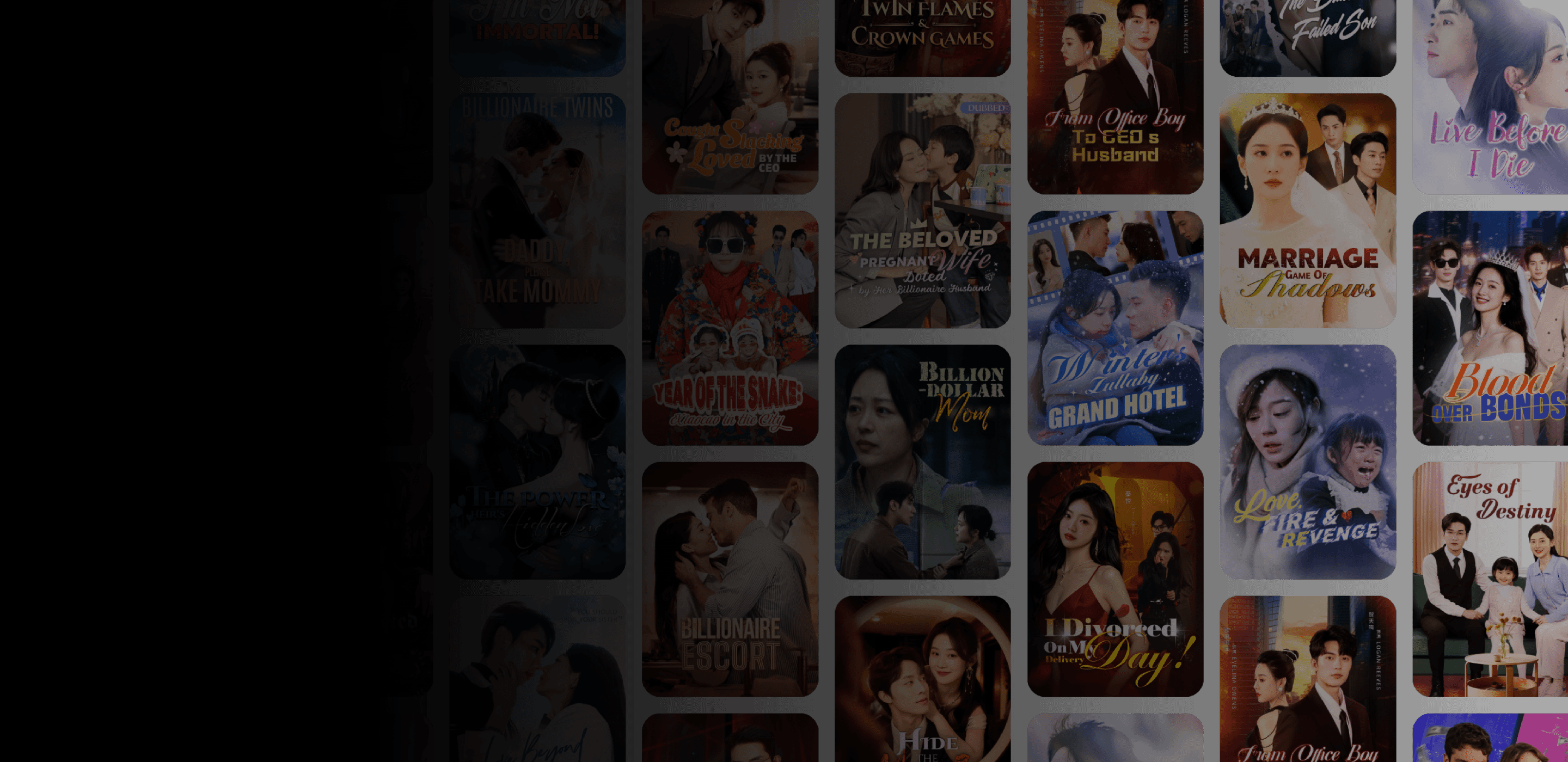 SkyBox 스트리밍 앱